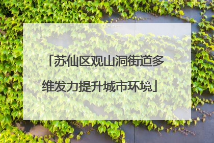 苏仙区观山洞街道多维发力提升城市环境