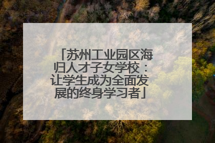 苏州工业园区海归人才子女学校：让学生成为全面发展的终身学习者