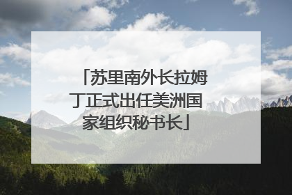 苏里南外长拉姆丁正式出任美洲国家组织秘书长
