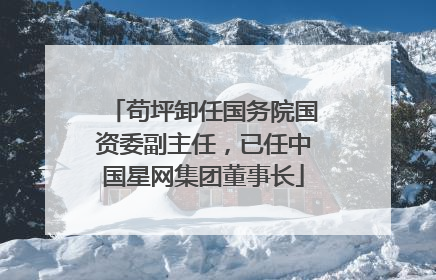 苟坪卸任国务院国资委副主任，已任中国星网集团董事长