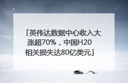 英伟达数据中心收入大涨超70%，中国H20相关损失达80亿美元