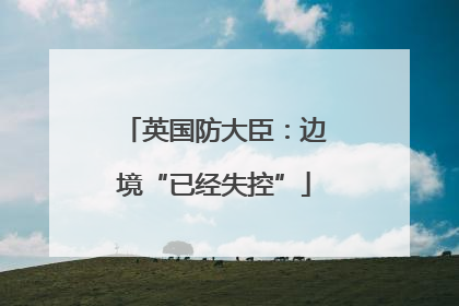 英国防大臣：边境“已经失控”