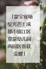 蒙宝赛场绽光芒！成都市锦江区童蒙幼儿园两园区喜获荣耀