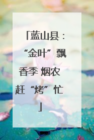 蓝山县：“金叶”飘香季 烟农赶“烤”忙