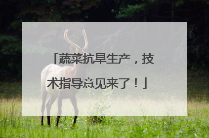 蔬菜抗旱生产，技术指导意见来了！
