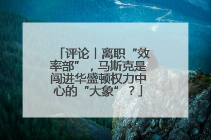 评论丨离职“效率部”，马斯克是闯进华盛顿权力中心的“大象”？