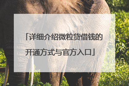 详细介绍微粒贷借钱的开通方式与官方入口