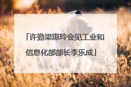 许勤梁惠玲会见工业和信息化部部长李乐成