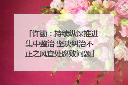 许勤：持续纵深推进集中整治 坚决纠治不正之风查处腐败问题