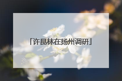 许昆林在扬州调研