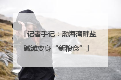 记者手记：渤海湾畔盐碱滩变身“新粮仓”