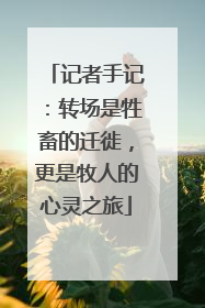 记者手记：转场是牲畜的迁徙，更是牧人的心灵之旅