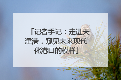 记者手记：走进天津港，窥见未来现代化港口的模样