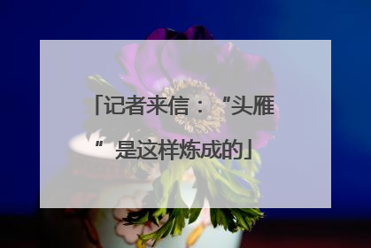 记者来信：“头雁”是这样炼成的