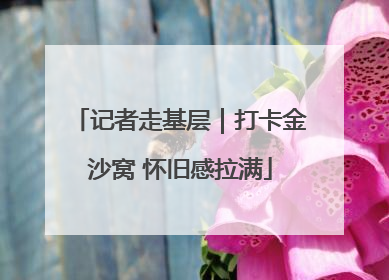 记者走基层｜打卡金沙窝 怀旧感拉满