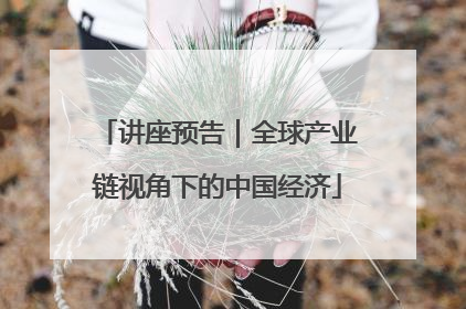 讲座预告｜全球产业链视角下的中国经济