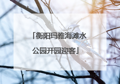 衡阳玛雅海滩水公园开园迎客