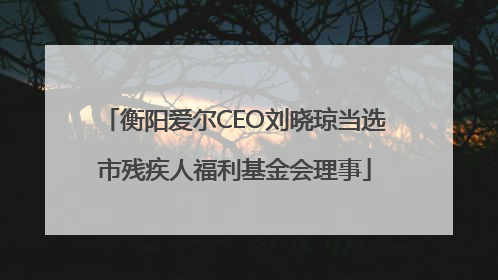 衡阳爱尔CEO刘晓琼当选市残疾人福利基金会理事
