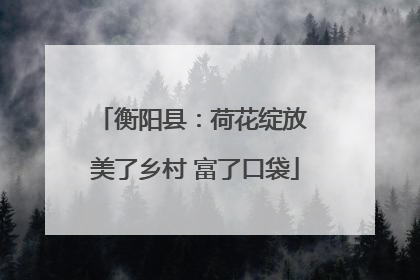 衡阳县：荷花绽放 美了乡村 富了口袋