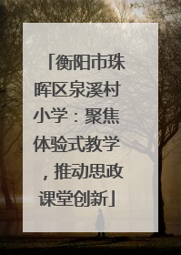 衡阳市珠晖区泉溪村小学：聚焦体验式教学，推动思政课堂创新