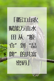 衢江山农赋能万亩水田 从“粮仓”到“品牌”的共富密码