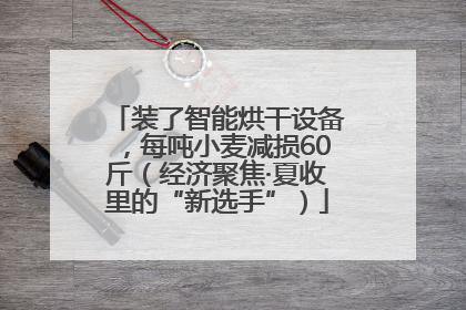 装了智能烘干设备，每吨小麦减损60斤（经济聚焦·夏收里的“新选手”）
