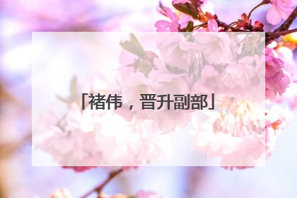 褚伟，晋升副部