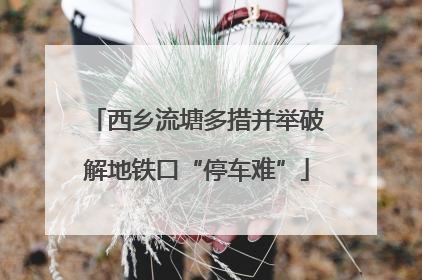 西乡流塘多措并举破解地铁口“停车难”