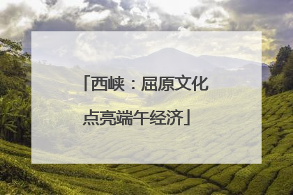 西峡：屈原文化点亮端午经济