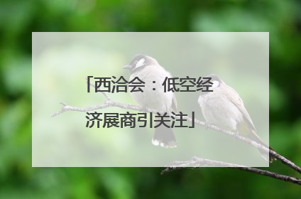 西洽会：低空经济展商引关注