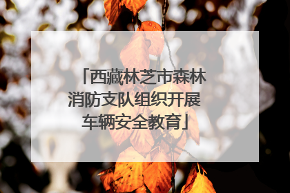 西藏林芝市森林消防支队组织开展车辆安全教育