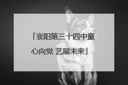 襄阳第三十四中童心向党 艺展未来