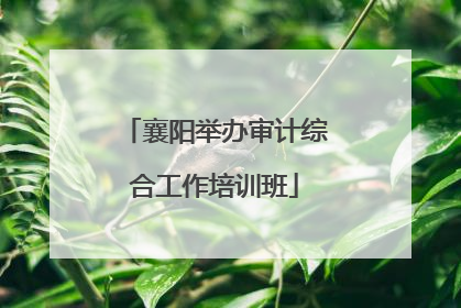 襄阳举办审计综合工作培训班