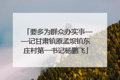 要多为群众办实事——记甘肃镇原孟坝镇东庄村第一书记杨鹏飞