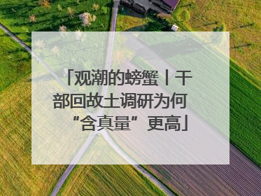 观潮的螃蟹丨干部回故土调研为何“含真量”更高