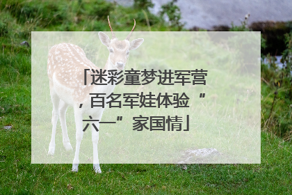 迷彩童梦进军营，百名军娃体验“六一”家国情