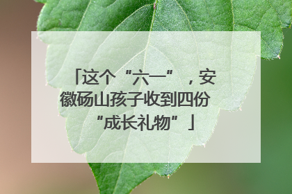 这个“六一”，安徽砀山孩子收到四份“成长礼物”