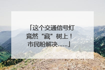 这个交通信号灯竟然“藏”树上！市民盼解决……
