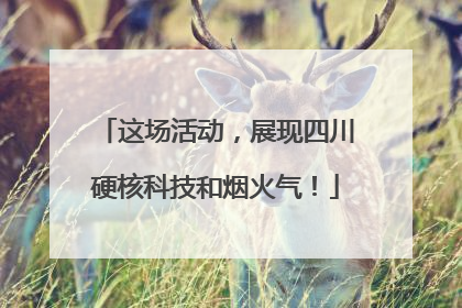 这场活动，展现四川硬核科技和烟火气！