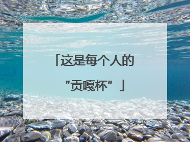 这是每个人的“贡嘎杯”