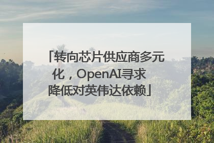 转向芯片供应商多元化，OpenAI寻求降低对英伟达依赖