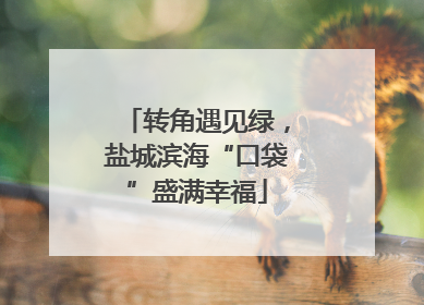 转角遇见绿，盐城滨海“口袋”盛满幸福