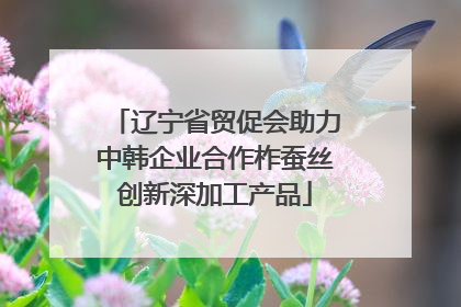 辽宁省贸促会助力中韩企业合作柞蚕丝创新深加工产品