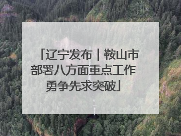 辽宁发布｜鞍山市部署八方面重点工作勇争先求突破