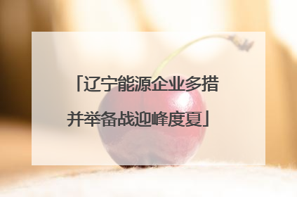 辽宁能源企业多措并举备战迎峰度夏
