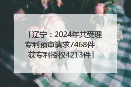 辽宁：2024年共受理专利预审请求7468件 获专利授权4213件
