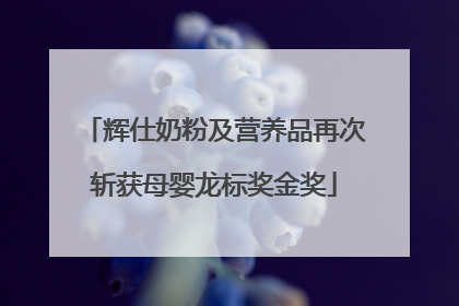 辉仕奶粉及营养品再次斩获母婴龙标奖金奖