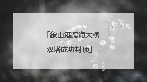 象山港跨海大桥双塔成功封顶
