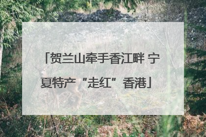 贺兰山牵手香江畔 宁夏特产“走红”香港