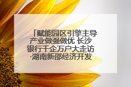 赋能园区引擎主导产业做强做优 长沙银行千企万户大走访·湖南新邵经济开发区专场活动举行